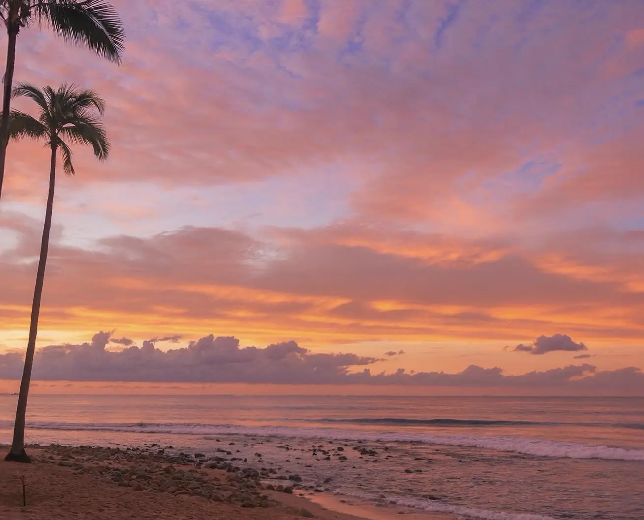 The Best Time to Propose in Puerto Vallarta (A Local's Honest Guide)